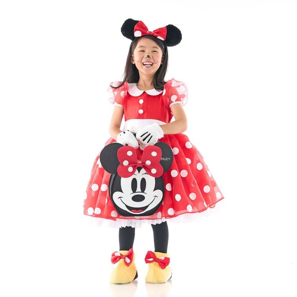 Pottery Barn Kids PBK Disney Minnie Mouse Costume Size 4-6 Excellent Condition